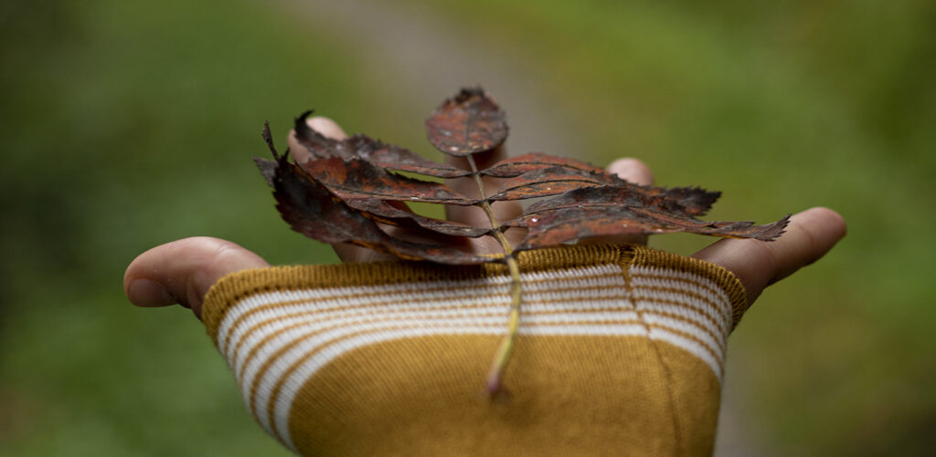 Hand mit Herbstblatt